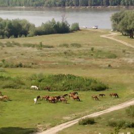 Село мое родное