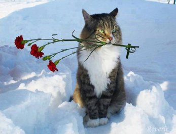 Давай вернемся в ту весну